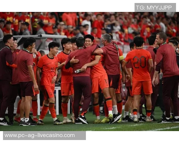 中国足球队冲击世界杯之路的艰辛与希望探讨