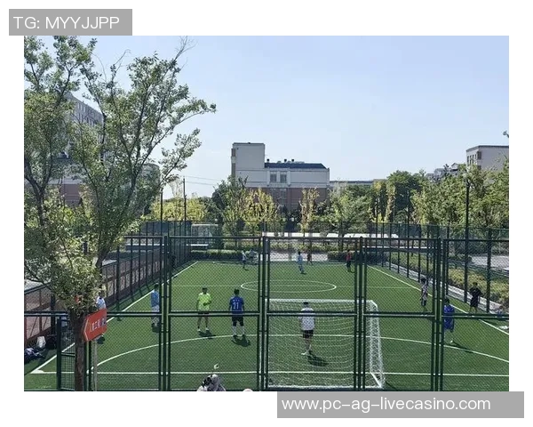 中国专用足球场建设现状与未来发展趋势分析及其对足球运动的影响